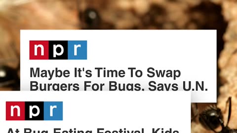 What would we possibly do without their so-called journalism? 🙄 Good Riddance!