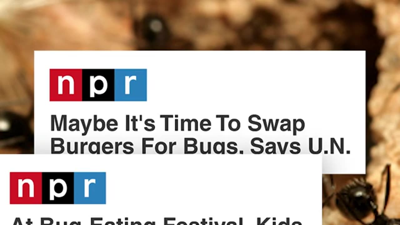 What would we possibly do without their so-called journalism? 🙄 Good Riddance!