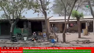Oduu Waaree ONM-ABO Waxaabajjii 3-2025 itti dhiyaadhaa!