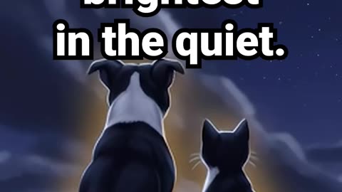 Friendship glows brightest in the quiet #anxietyrelief #lofihiphop #beatstostudy #calmingmusic