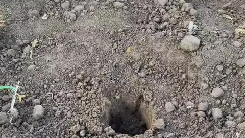 जब कोई साथ ना दे अकेले पड़ जाओ इसे सुनो