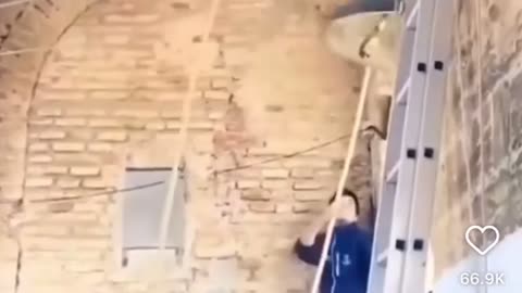 🔔😂 Ringing Trouble? No Problem! | FunFM