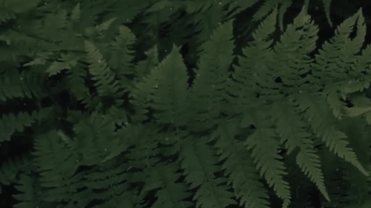 Solo Tarp Camping - Rain and Campfire (ASMR) #2 #shorts