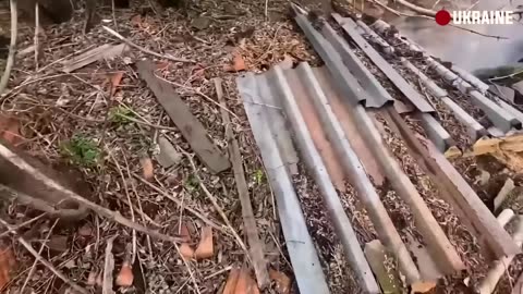 Intense Close Quarters Battle in Ukraine Top Weekly Videos