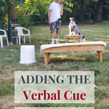 Back to the Basic Adding Verbal Cue Short 5