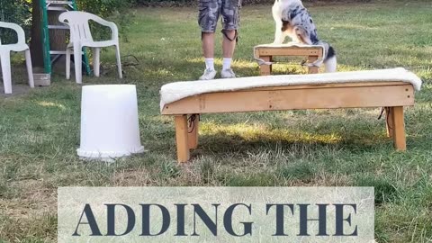 Back to the Basic Adding Verbal Cue Short 5