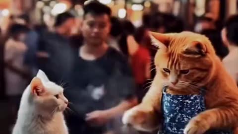 "Cat & Son Cook Beef Fry 🐱🥩 | Sell & Make Profit Challenge!"