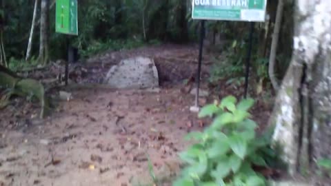 Barefoot Walk on Muddy Path