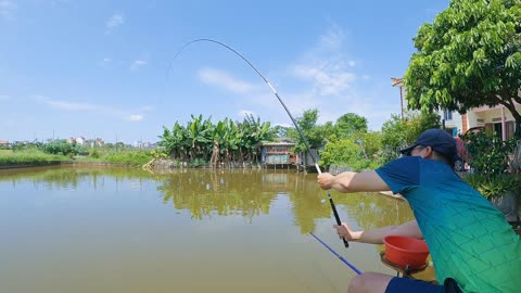 Chub Noodling in Shallow Lake Flats