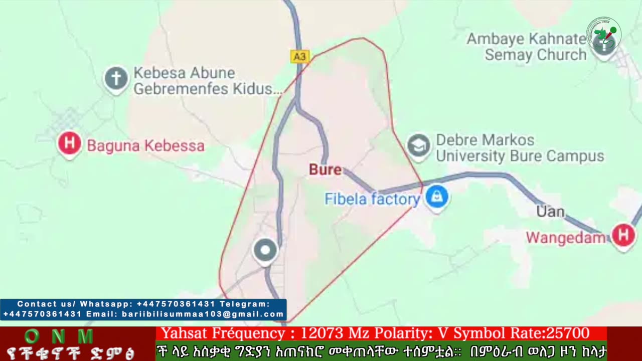 ሰኔ 23-2025 ONM-ABO እለታዊ የኦሮሞ ነፃነት ሰራዊትና የኦሮሚያ ውሎ!