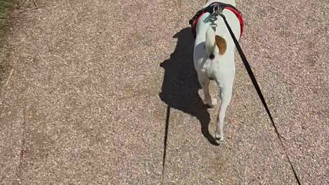 The Walk part 3