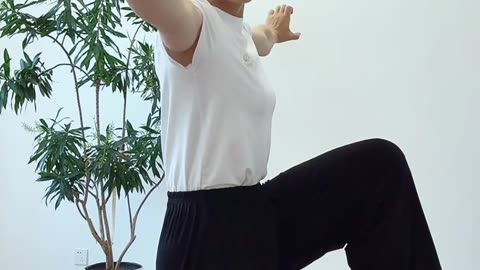 872.單腳站平衡樁