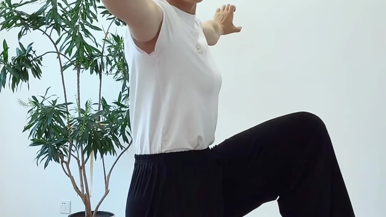 872.單腳站平衡樁
