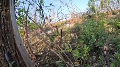 🎥⚔️ Ukraine Russia War | GoPro Footage of Stormtrooper Attacking UAF Position | RCF
