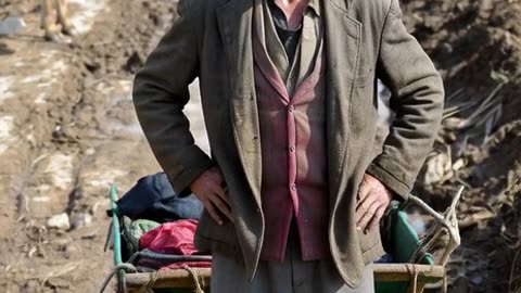 The cow helps an old man