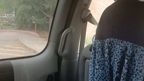 Cheyenne Mountain Zoo Part 41