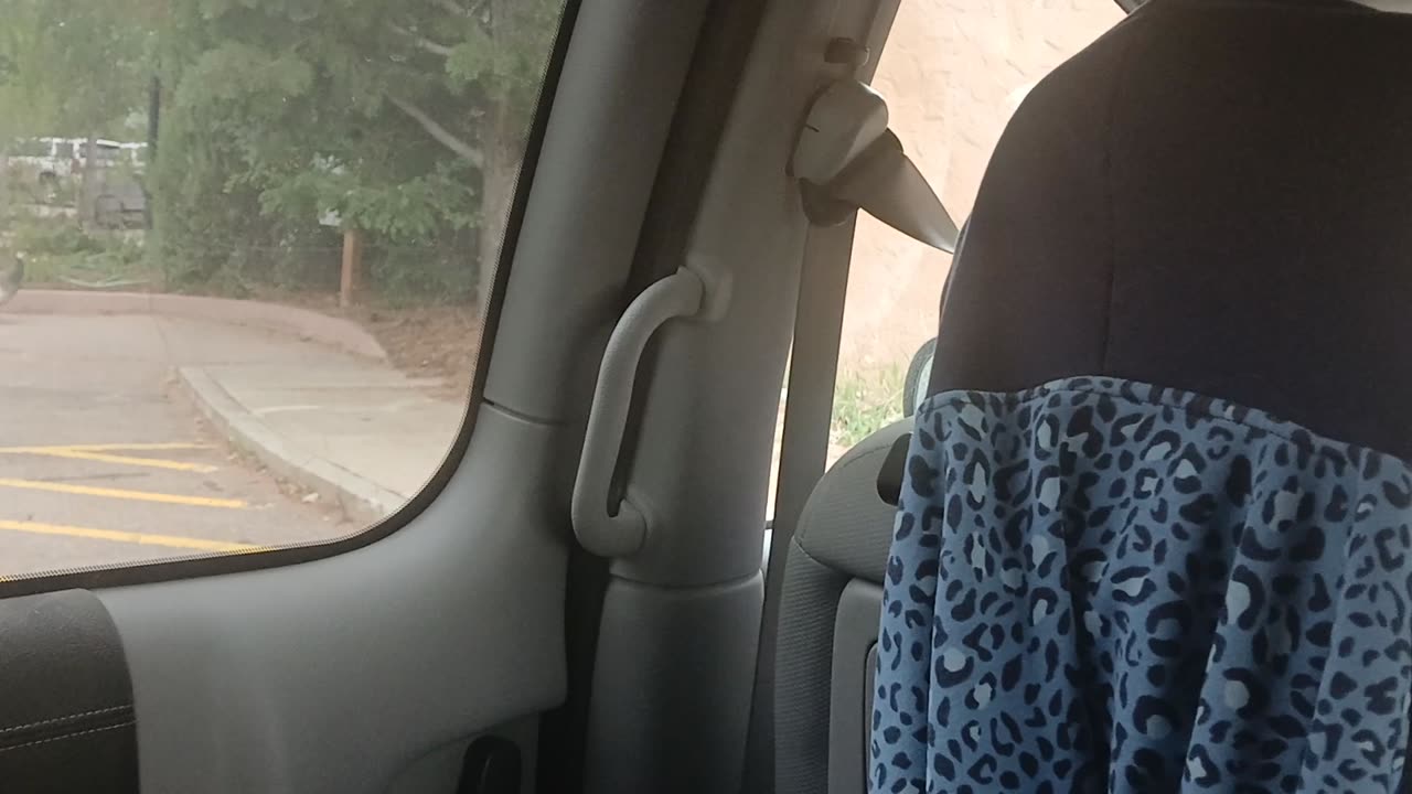 Cheyenne Mountain Zoo Part 41