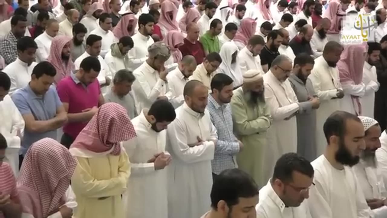 سورة يوسف _ المصحف المرئي للشيخ ناصر القطامي من رمضان ١٤٣٨هـ _ Surah-Yusuf