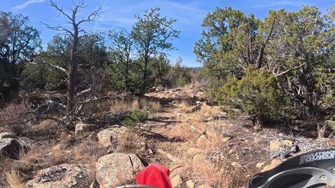 2025 Winter Penrose Commons - Vanessa B-Day Ride - Part 3 - Ridge Trail North