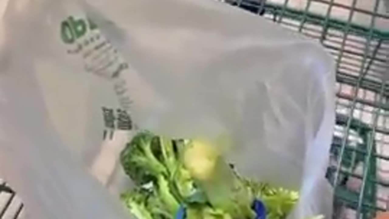 Everything Wrapped in Plastic