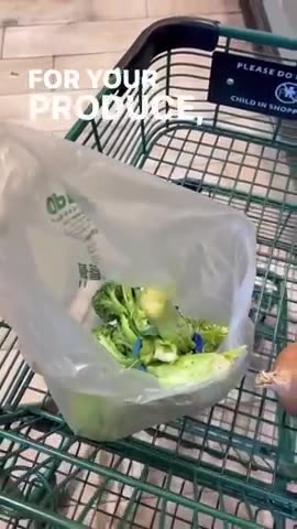 Everything Wrapped in Plastic