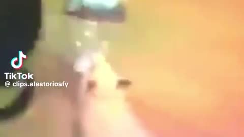 😂 He's a Club Rat! Watch This Animal's Wild Night Out! | FunFM