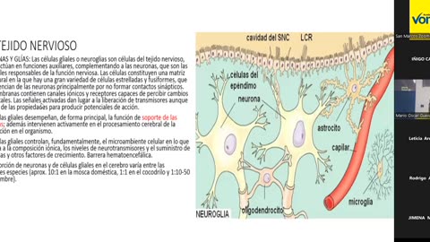 VONEX SEMIANUAL 2025 | Semana 07 | Psicología