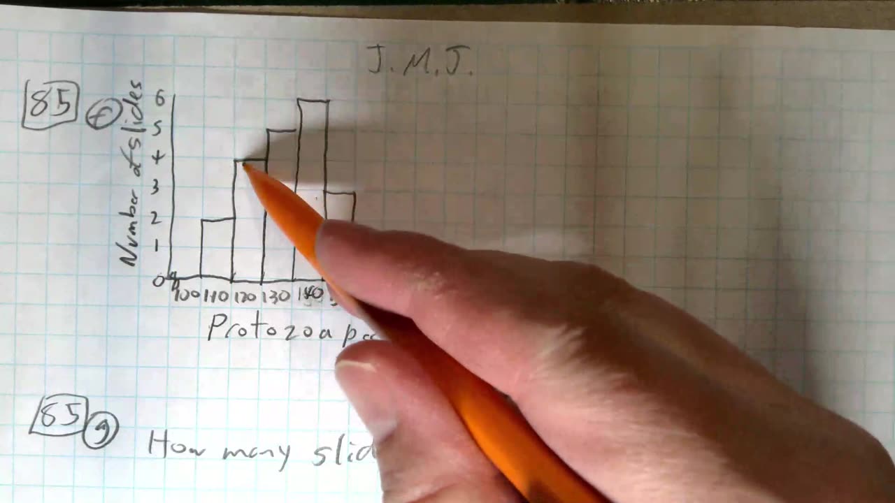 Saxon Algebra 1 Lesson 85 (g)