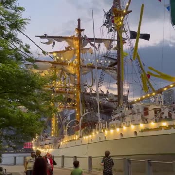 ⚠️ A massive Mexican ship hits the Brooklyn Bridge.