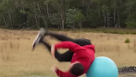 Ultimate Animal Parkour Fails & Wins 🐾💥 | Try Not to Laugh!
