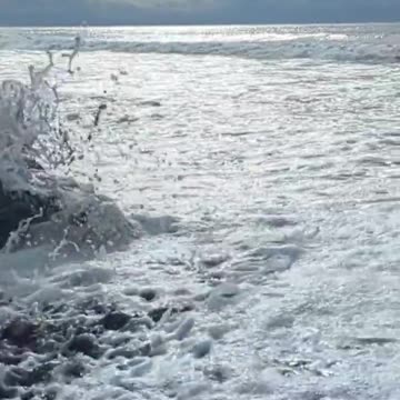 Bright Waters and Dark Horizon