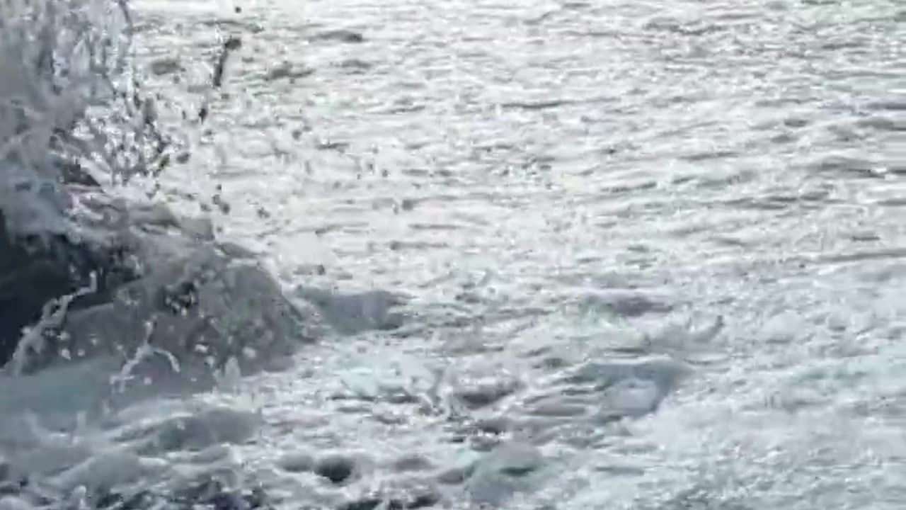 Bright Waters and Dark Horizon