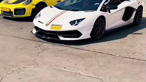 🏎️💎 This Luxury Car's Design is PURE Art! | LuxurySportsCars