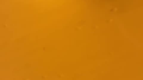 AXOLOTL SLIME SCOOPS 🍣