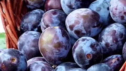 Jamun Khane Ke Fayde