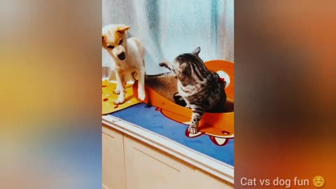 funny video
