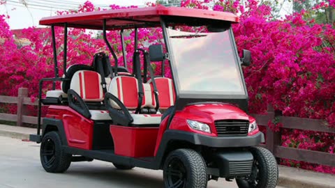 AMI Golf Cart Rentals