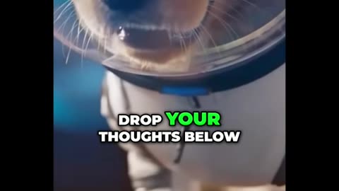 OpenAI Just Leaked ChatGPT and No One Is Talking About It