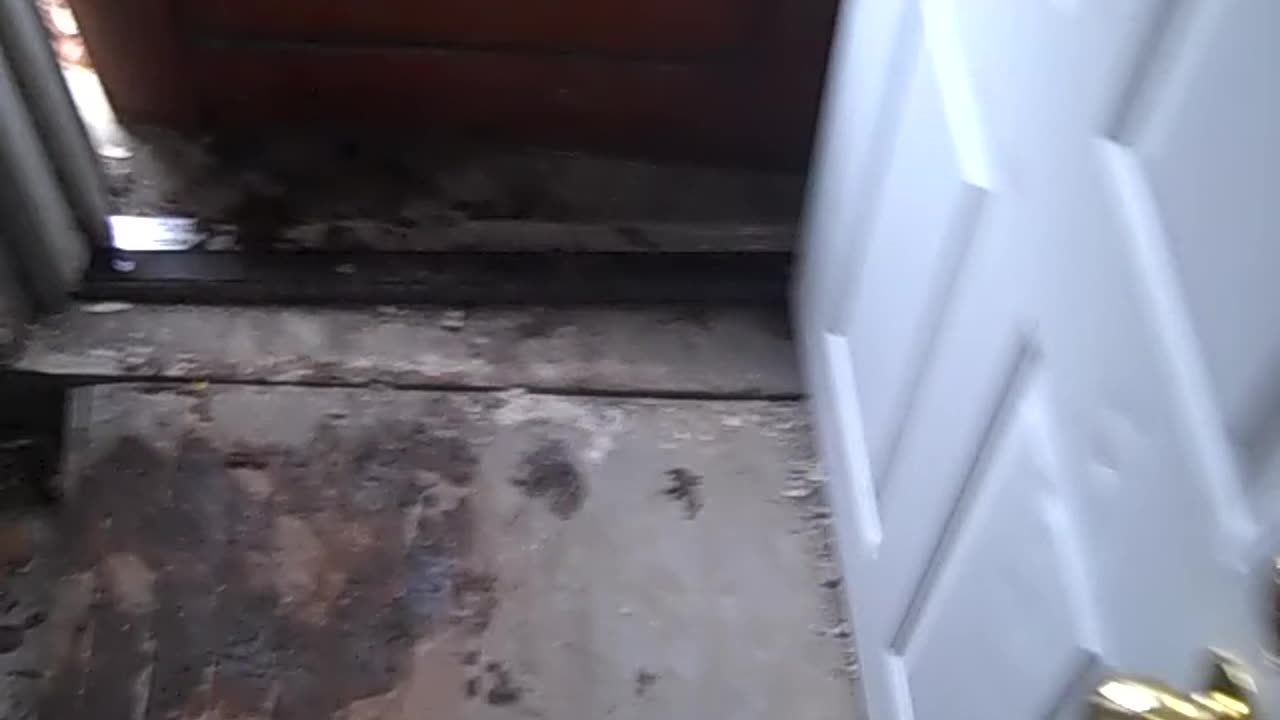 Ok one last look @ boiler and helping door guy,