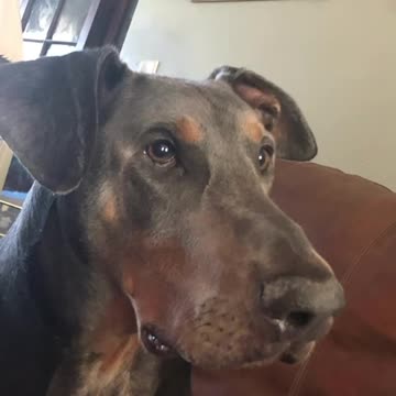 Tribute to Jameson Gannon