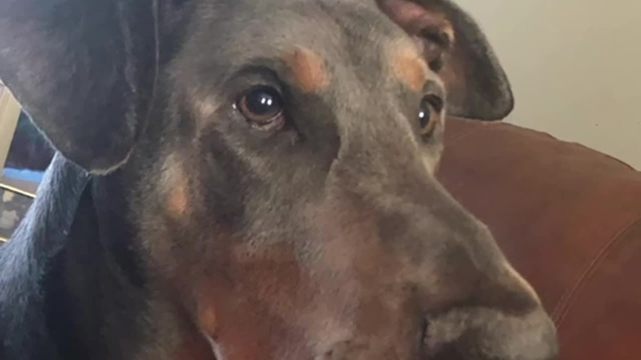 Tribute to Jameson Gannon