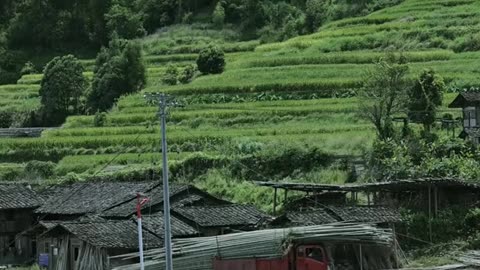 Secluded Mountain Life: Embracing the Healing Power of Nature