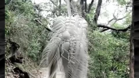 😱👻 You Won't Believe What They Caught on Camera! Creepy Paranormal Videos | TheHauntingHour