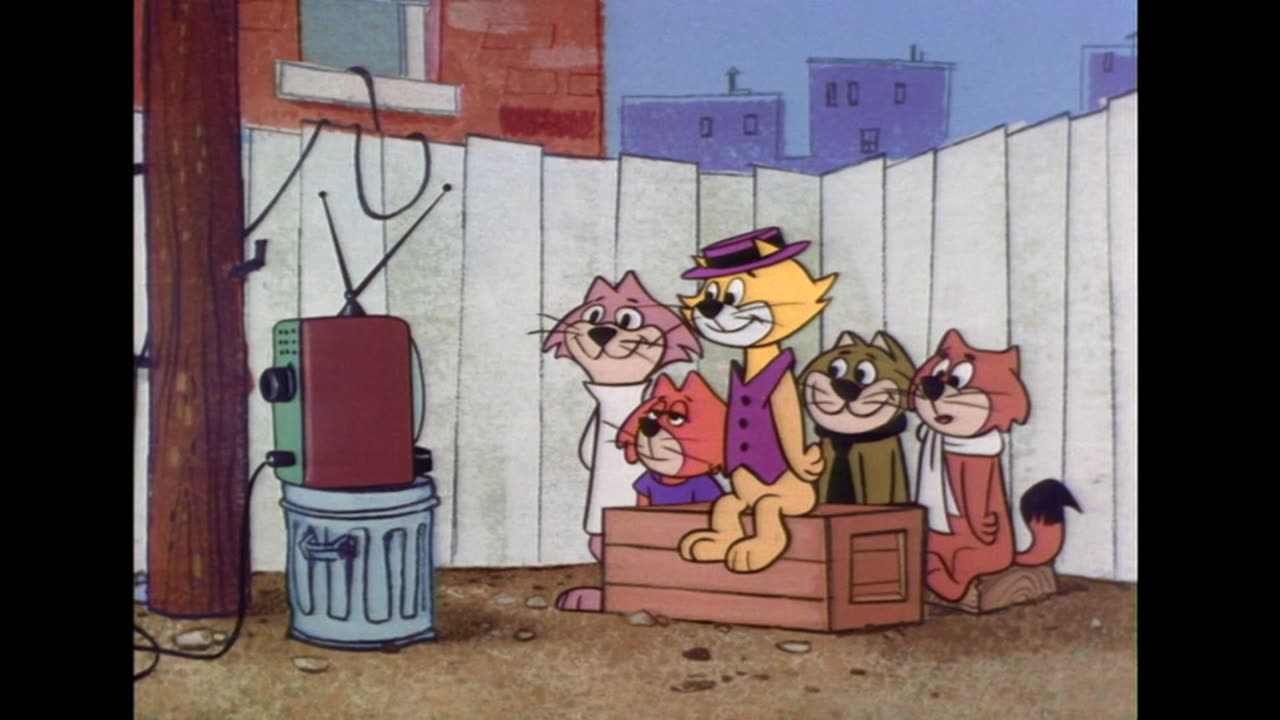 Don Gato y Su Pandilla - T1E16 - Salvando al Osito Hormiguero