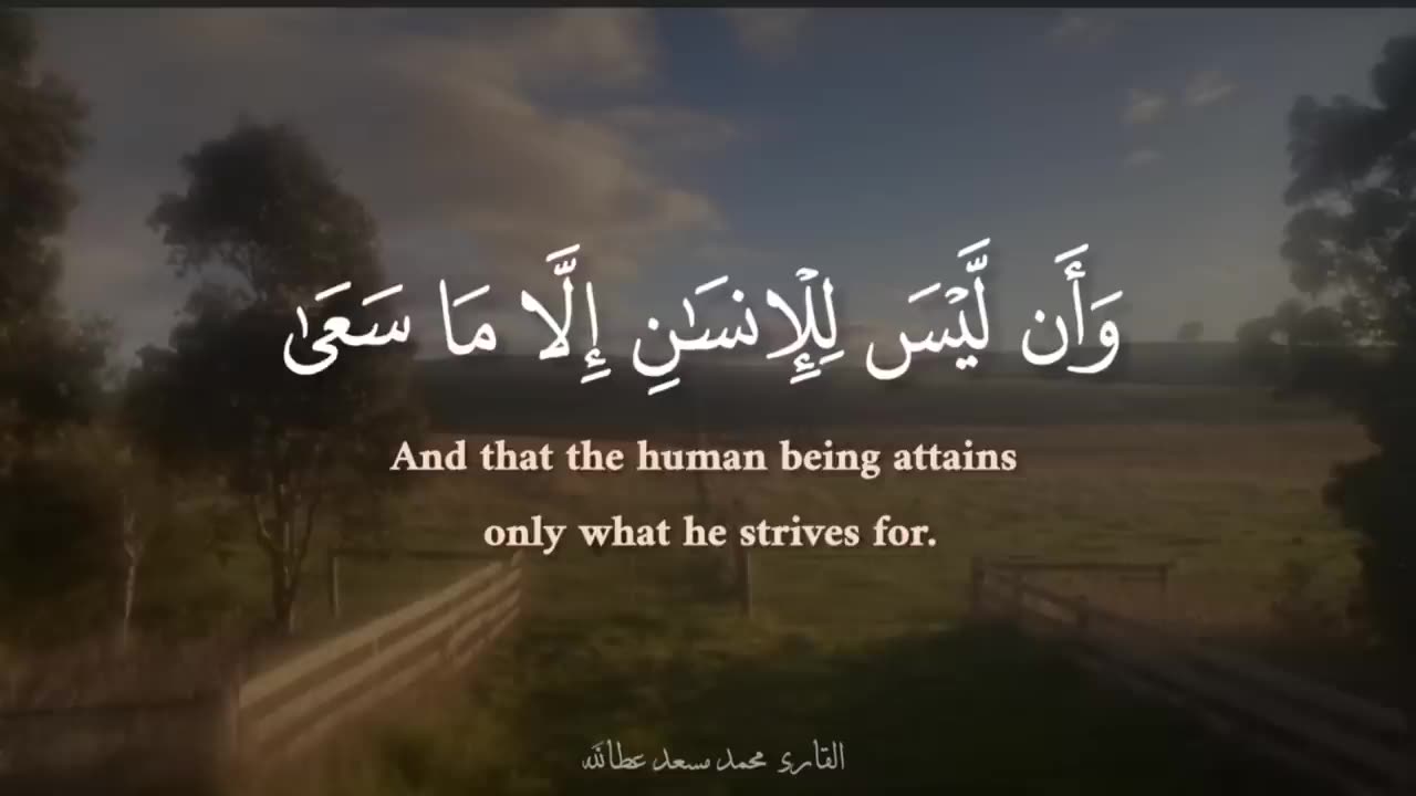 ساعة كاملة⏱️🎧 _ تلاوة لمن أراد الهدوء والراحة النفسية للدراسة والتركيز 📚 _ القارئ محمد مسعد ♥️