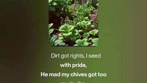 Schiff hates horticulture, Part 2