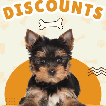 🐾🍽️ Pet Food Discounts You’ll Love (and So Will They!)