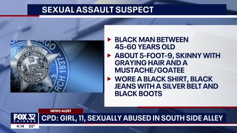Chicago girl sexually assaulted by black man on her way home from school