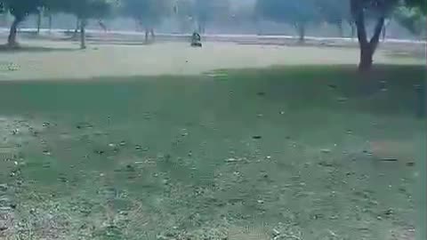Safari Zoo Family time quality time #love #viral #officalvideo #Trending #family #alhumdolillah