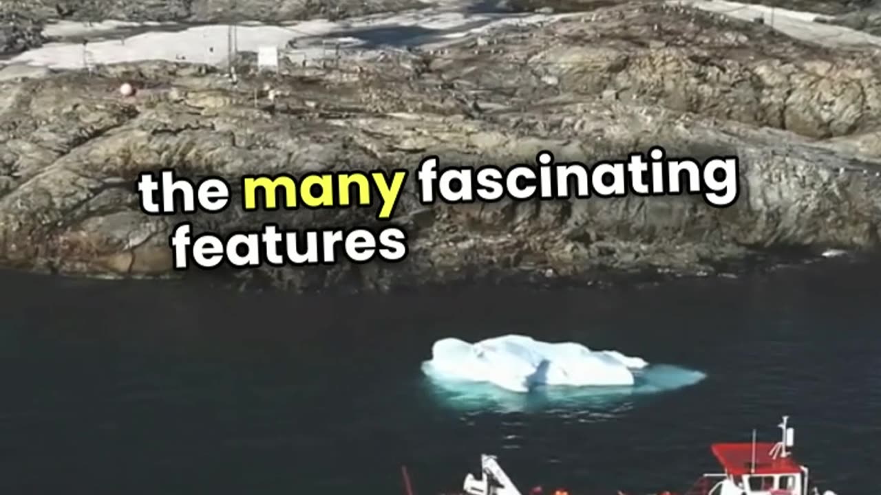 "Octopus Secrets: 3 Hearts!"